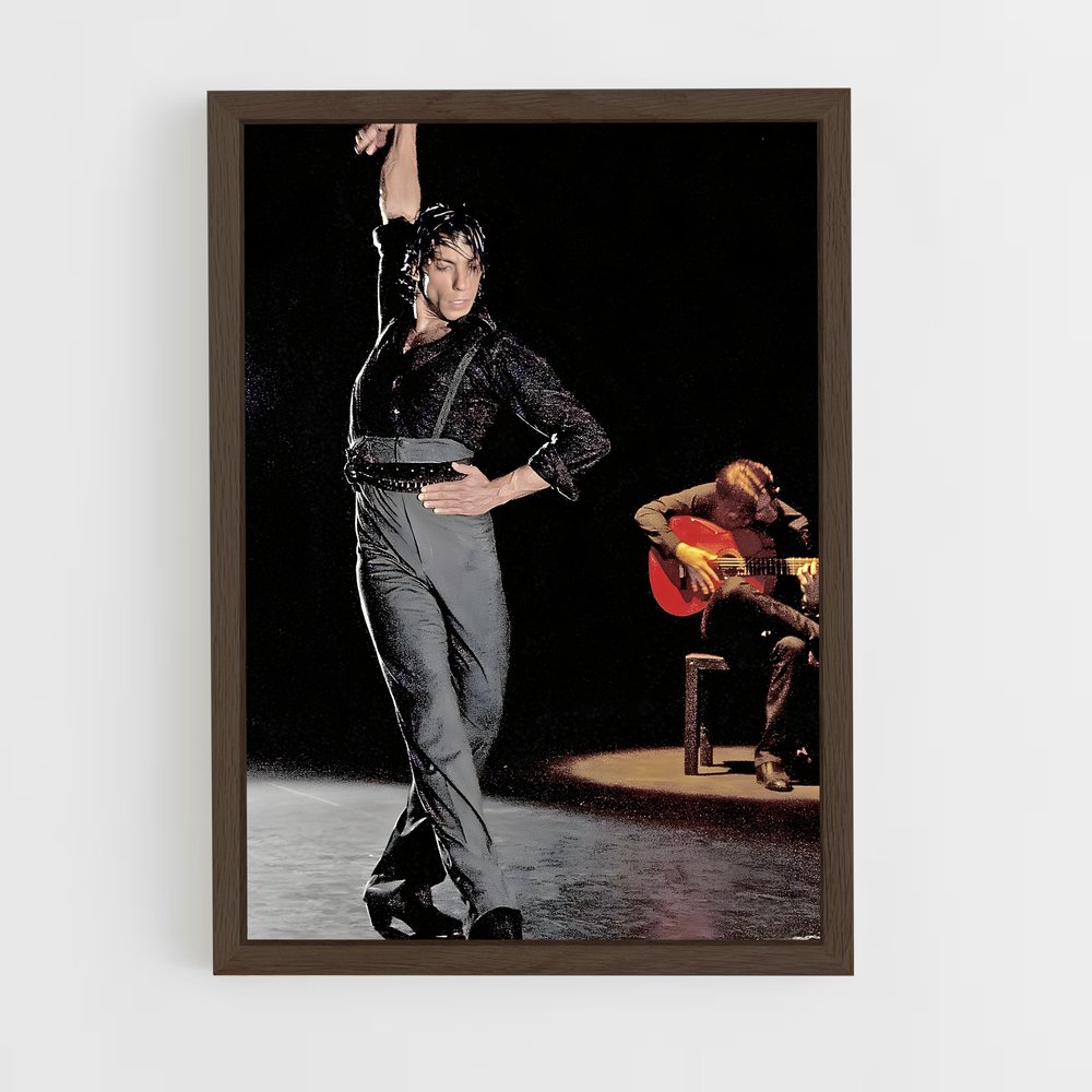 Poster Danse de Vie (vue 5)